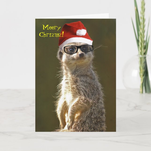 Meerkat Christmas Card (Front)