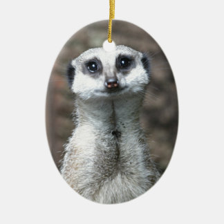 meerkat christmas decorations christmas d 233 cor zazzle co uk meerkat christmas decorations christmas d 233 cor zazzle co uk