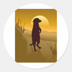 Meerkat Classic Round Sticker