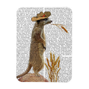 Meerkat Cowboy Magnet