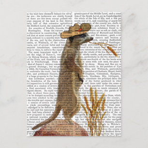 Meerkat Cowboy Postcard