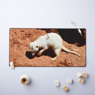 Meerkat Digging In The Dirt, Desk Mat