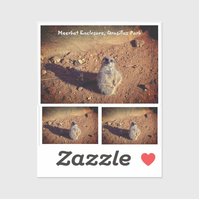 Meerkat Enclosure, Drusillas Park Sticker (Sheet)