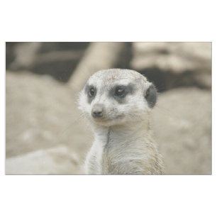 Meerkat Fabric
