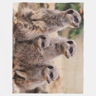 Meerkat family fleece blanket
