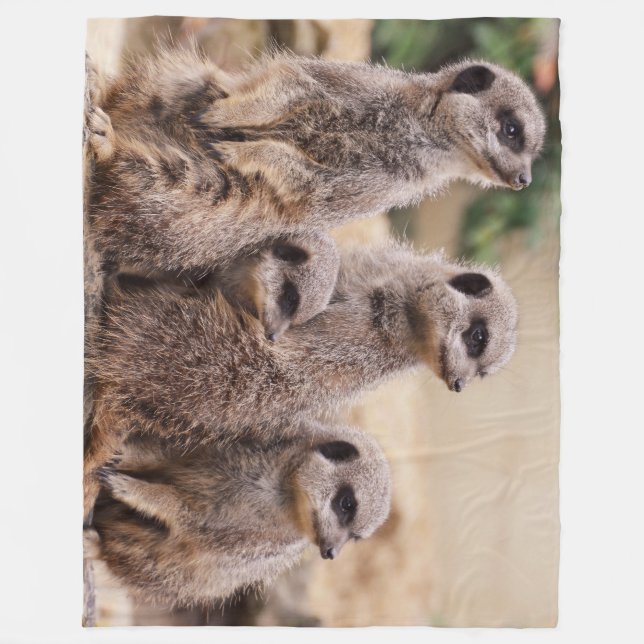 Meerkat family fleece blanket (Front)