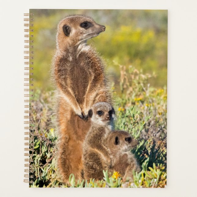Meerkat Family Portrait Planner (Front)
