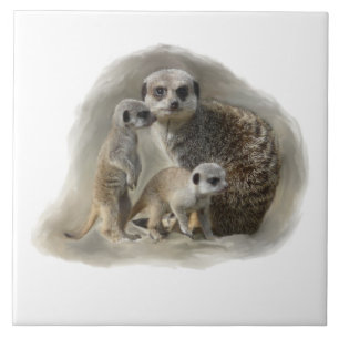 meerkat family tile