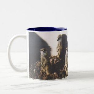 Meerkat Family Two-Tone Coffee Mug