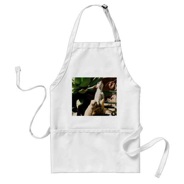 Meerkat Feeding Her Baby, Standard Apron (Front)