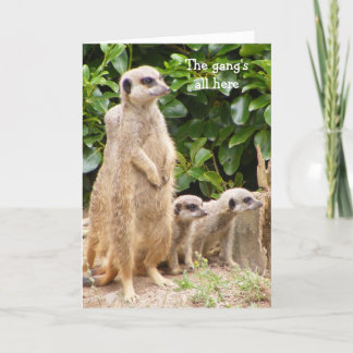 Meerkat gang birthday card