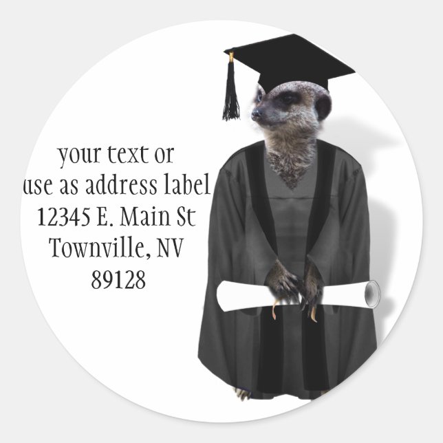 Meerkat Graduate W/Grey Gown & Black Sash Classic Round Sticker (Front)