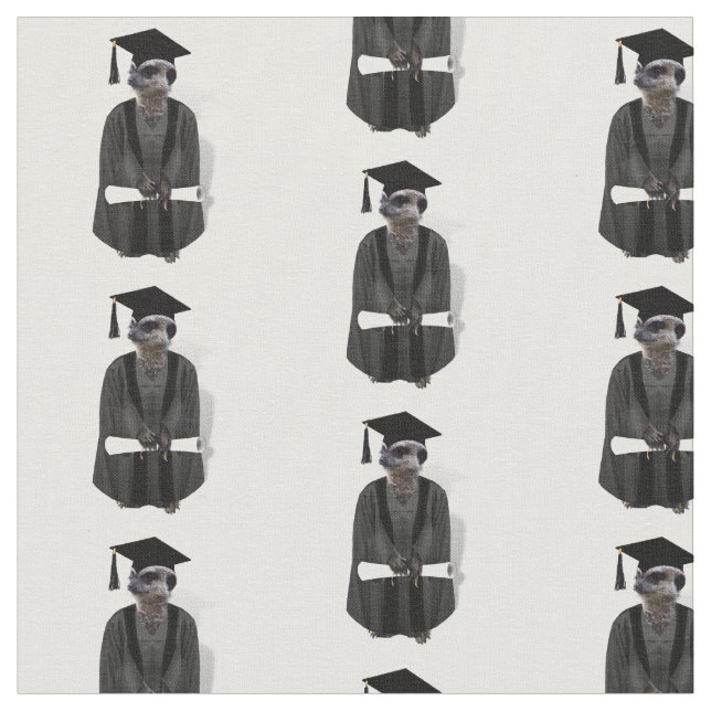 Meerkat Graduate with Diploma Fabric (Close Up)