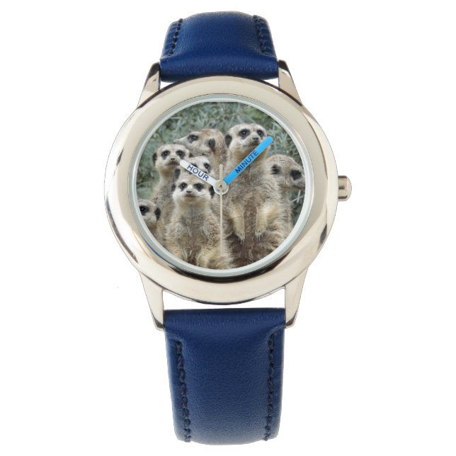 Meerkat-Group 001 Watch (Front)