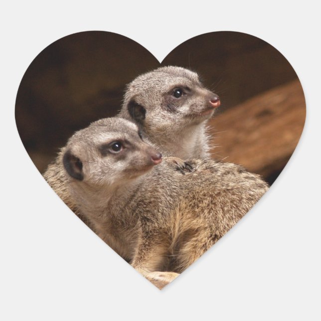 Meerkat Heart Sticker (Front)