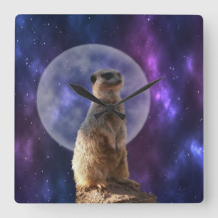 Meerkat In Front Of Blue Moon, Square Wall Clock