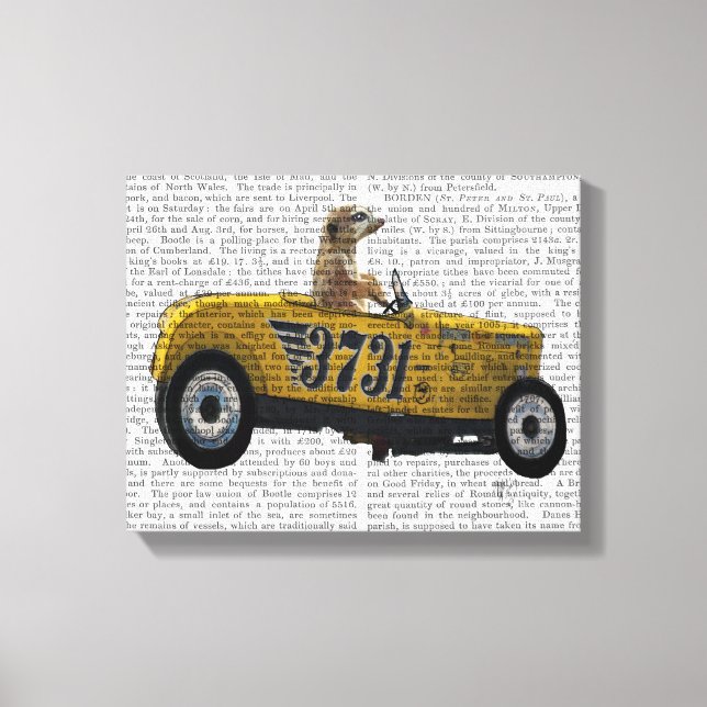 Meerkat in Hot Rod Canvas Print (Front)