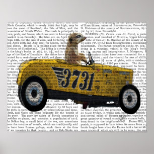 Meerkat in Hot Rod Poster