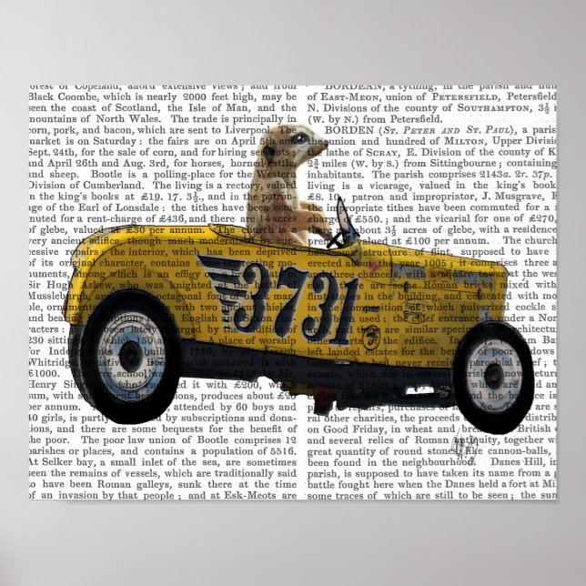 Meerkat in Hot Rod Poster (Front)