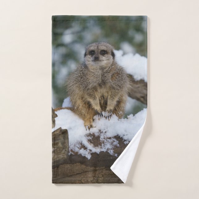 Meerkat In The Snow Acrylic Print Hand Towel (Hand Towel)