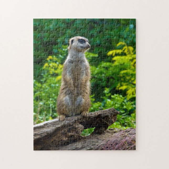 Meerkat in the woods Jigsaw puzzle (Vertical)