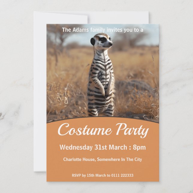 Meerkat In Zebra Disguise Costume Party Invitation (Front)