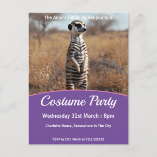 Meerkat In Zebra Disguise Costume Party Invitation Postcard