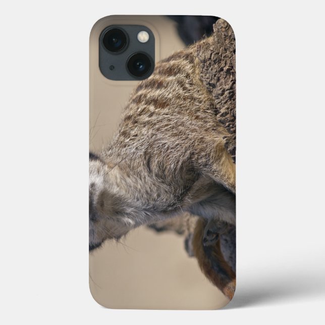 Meerkat iPad Case (Back)