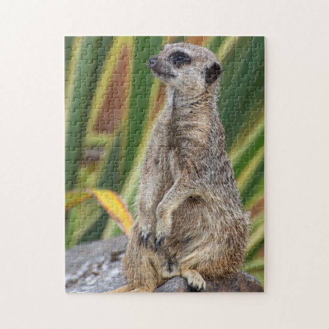 Meerkat Jigsaw puzzle (Vertical)