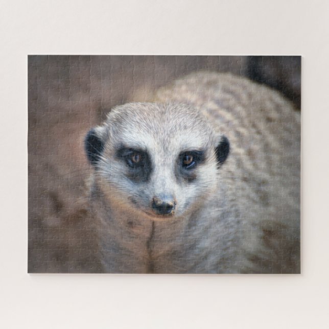 Meerkat Jigsaw Puzzle (Horizontal)