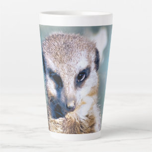 MEERKAT Latte Mug