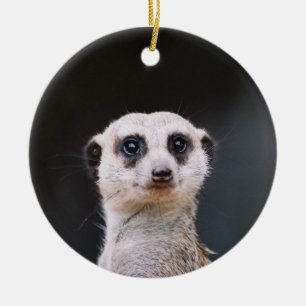 Meerkat Lookout Ornament