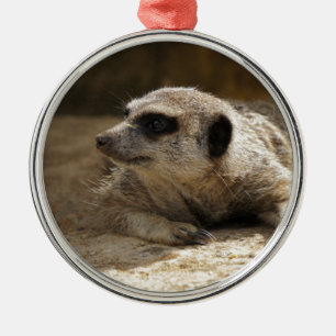 Meerkat Metal Tree Decoration