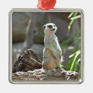 Meerkat Metal Tree Decoration
