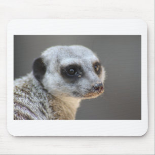 Meerkat Mouse Mat