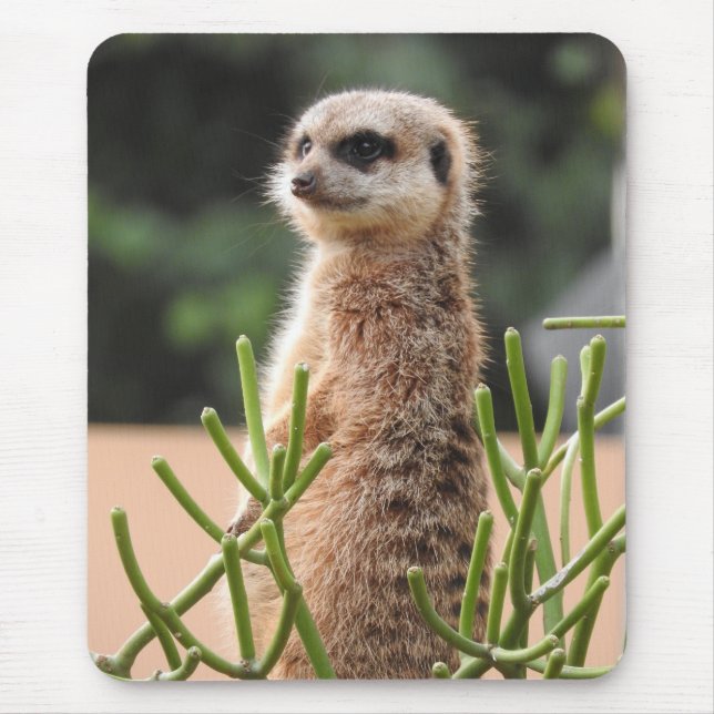 Meerkat Mouse Mat (Front)