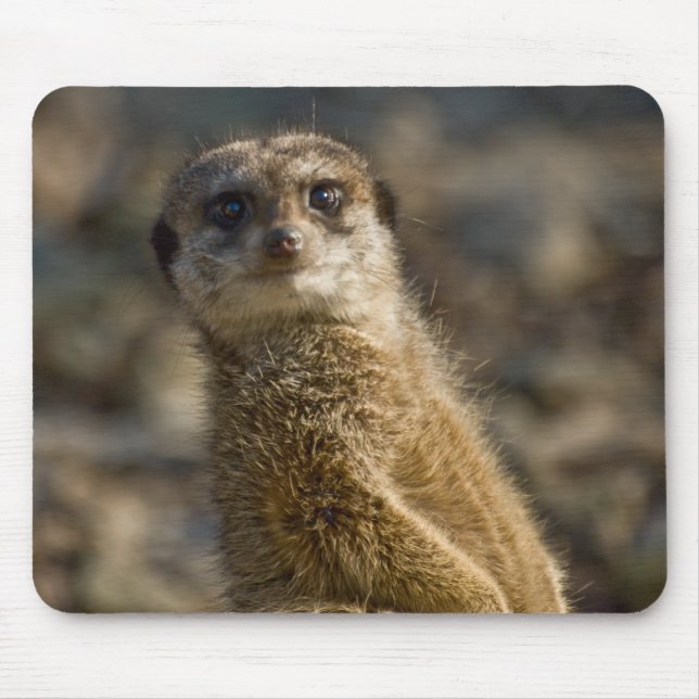 Meerkat Mouse Mat (Front)