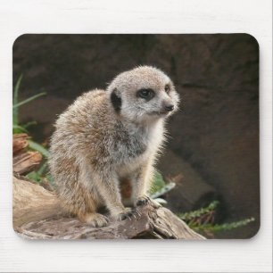 Meerkat Mouse Mat