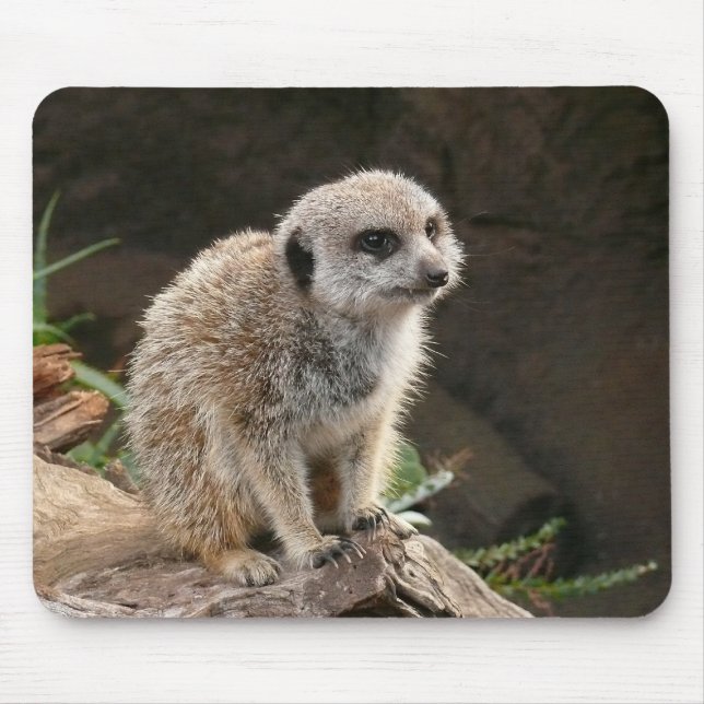 Meerkat Mouse Mat (Front)