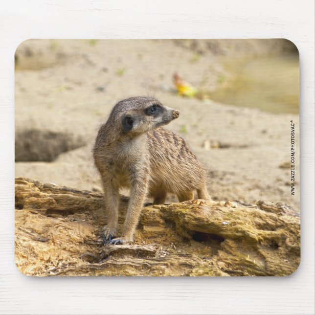 Meerkat Mouse Mat (Front)