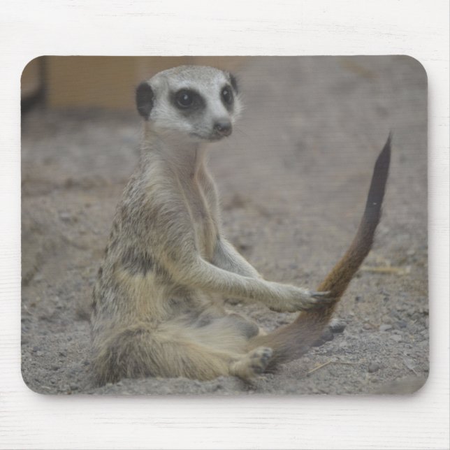 Meerkat Mouse Mat (Front)