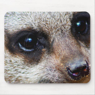 Meerkat Mouse Mat