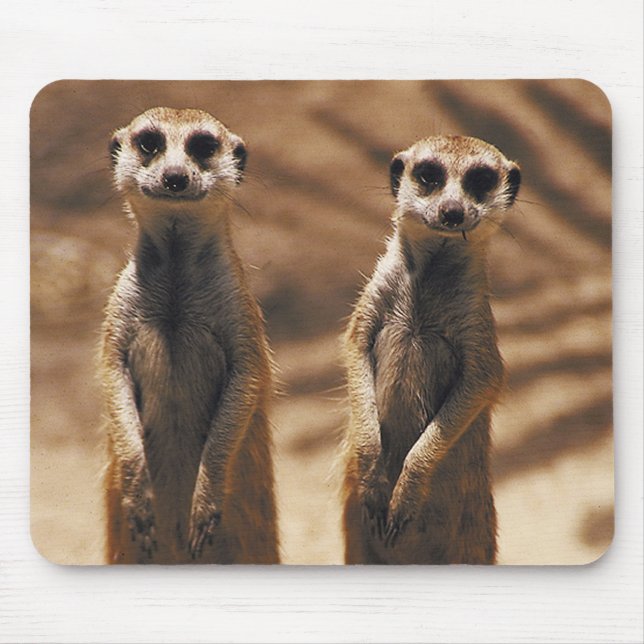 Meerkat mousepad (Front)