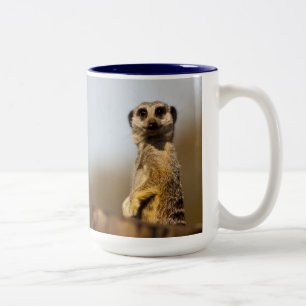 Meerkat Mug