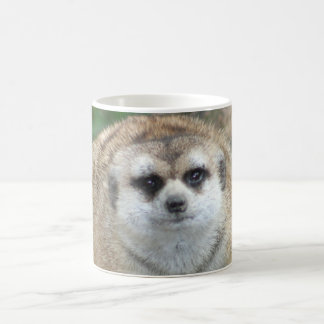 Meerkat Mug