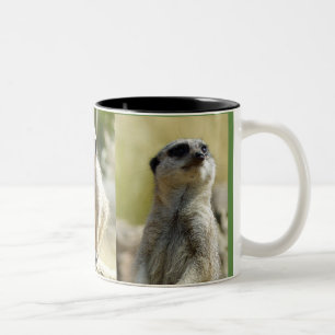 Meerkat mug