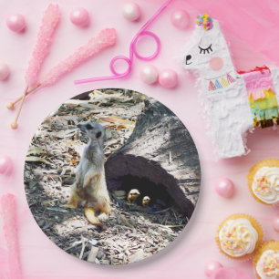 Meerkat Mum With Her Kids, Paper Party Plates