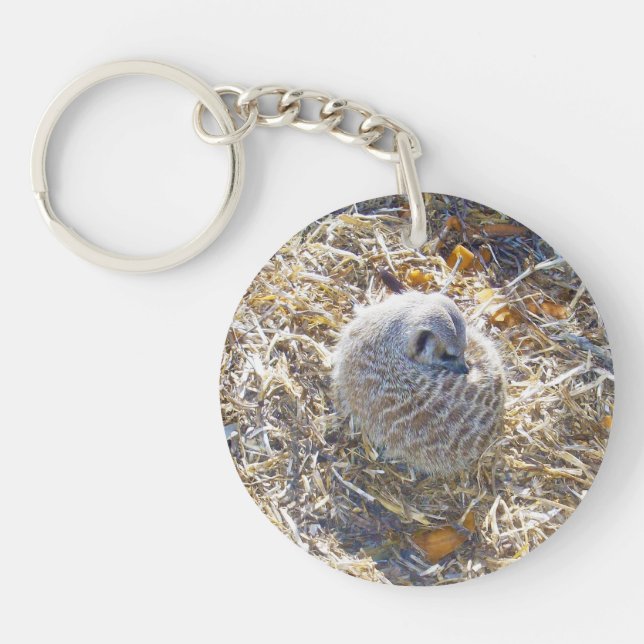 Meerkat Nest, Key Ring (Front)