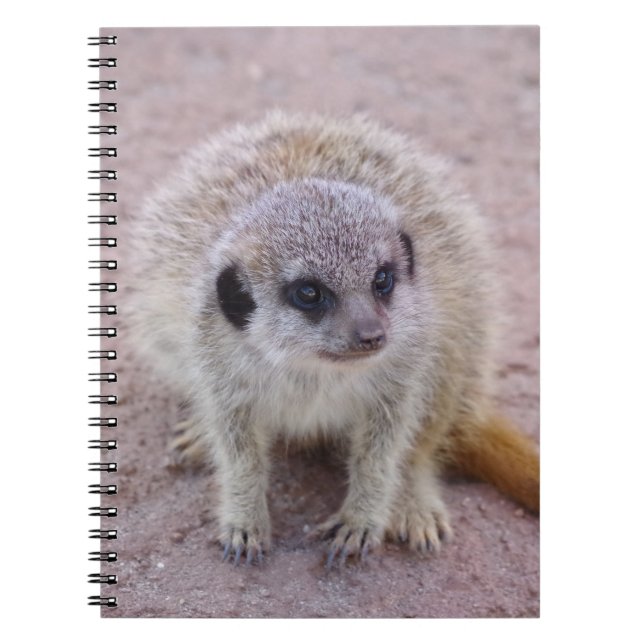 Meerkat Notebook (Front)