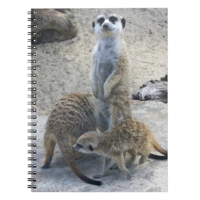 Meerkat Notebook (Front)